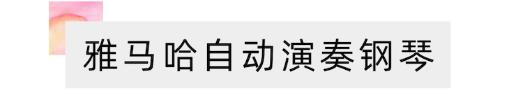 活动报道 | “科技助力，跨越时空”，小鹿纯子携手刘明康共享中日音乐盛宴